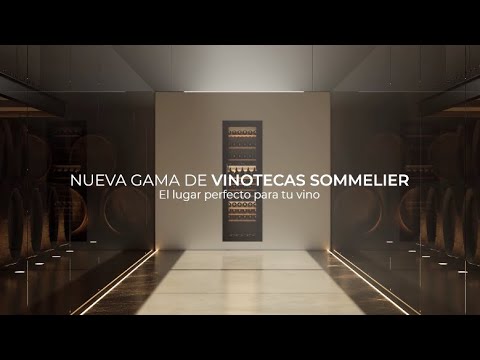 Vinoteca de libre instalación Sommelier RVU 10008 GBK con capacidad para 8 botellas (8)