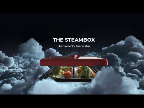 Bandeja SteamBox para cocinar al vapor en el horno (6)